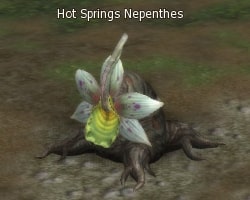 Hot Springs Nepenthes l2